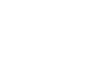 blue pennant logo